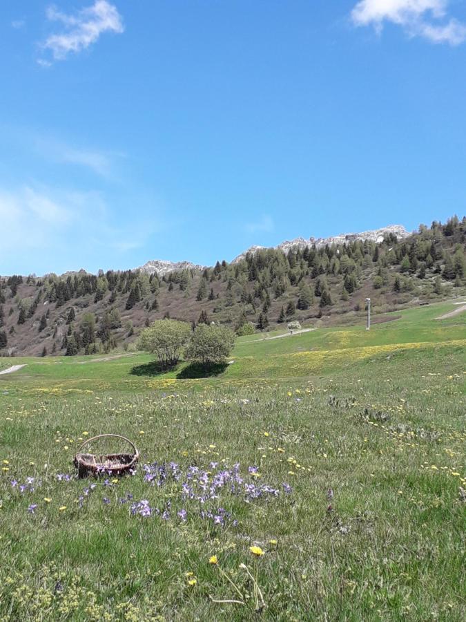 Apartamento Les Campanules Bourg-Saint-Maurice Exterior foto