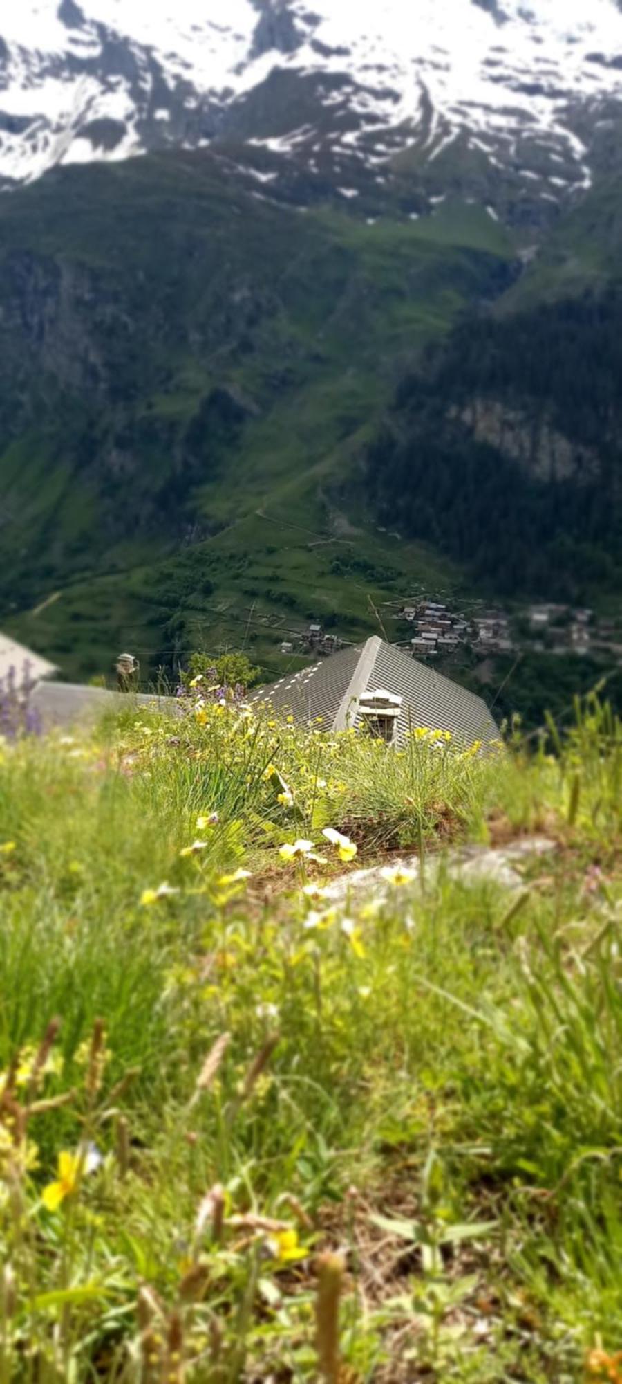 Apartamento Les Campanules Bourg-Saint-Maurice Exterior foto